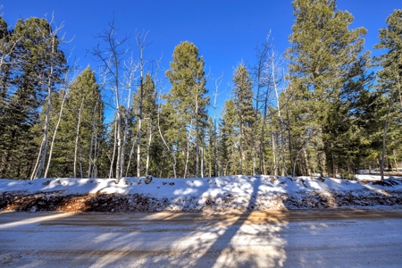 Buildable Lot in Spring Valley Subdivision - image 4