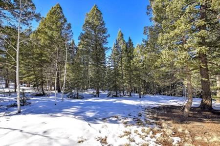 Buildable Lot in Spring Valley Subdivision - image 13