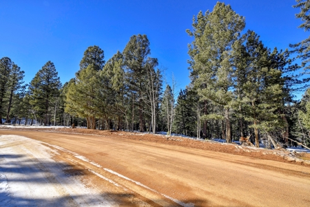 Buildable Lot in Spring Valley Subdivision - image 15
