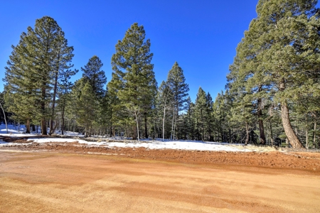 Buildable Lot in Spring Valley Subdivision - image 2