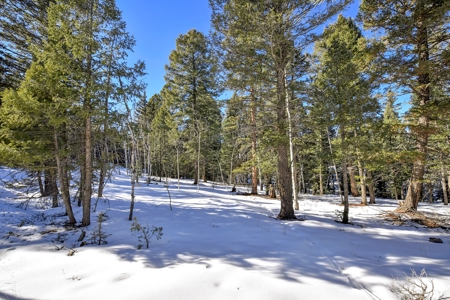 Buildable Lot in Spring Valley Subdivision - image 5