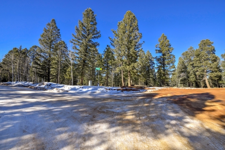 Buildable Lot in Spring Valley Subdivision - image 8