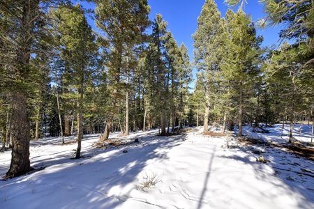 Buildable Lot in Spring Valley Subdivision - image 6
