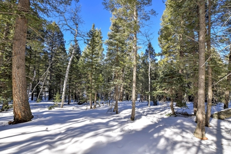 Buildable Lot in Spring Valley Subdivision - image 12