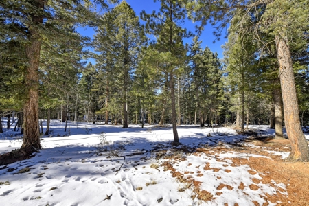 Buildable Lot in Spring Valley Subdivision - image 1