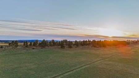 140 Acres in Custer MT– Adjacent to 1,800+ Acres of BLM - image 5