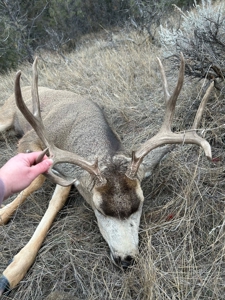 140 Acres in Custer MT– Adjacent to 1,800+ Acres of BLM - image 20