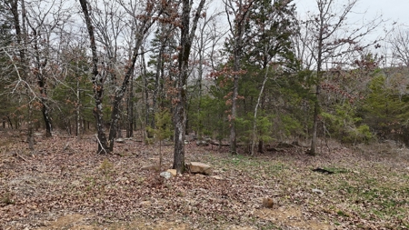 5-Acre Country Retreat Near Wilburton, OK - image 13