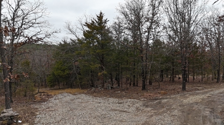 5-Acre Country Retreat Near Wilburton, OK - image 2