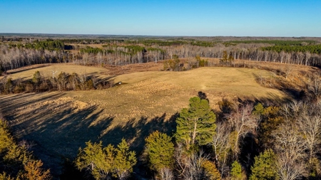 190-Acre Paradise: Build Your Dream Home In Southside Va - image 26