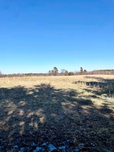 190-Acre Paradise: Build Your Dream Home In Southside Va - image 30
