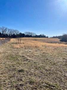 190-Acre Paradise: Build Your Dream Home In Southside Va - image 19