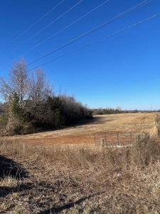 190-Acre Paradise: Build Your Dream Home In Southside Va - image 9