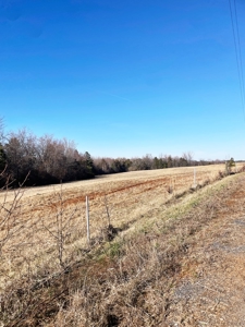 190-Acre Paradise: Build Your Dream Home In Southside Va - image 15