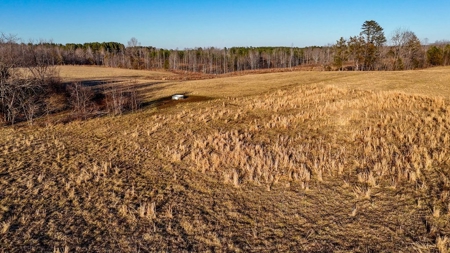 190-Acre Paradise: Build Your Dream Home In Southside Va - image 24