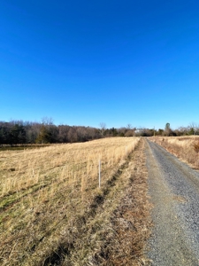 190-Acre Paradise: Build Your Dream Home In Southside Va - image 17