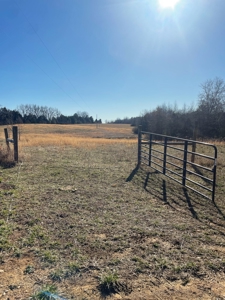 190-Acre Paradise: Build Your Dream Home In Southside Va - image 18