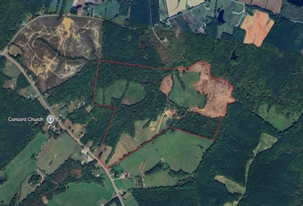 190-Acre Paradise: Build Your Dream Home In Southside Va - image 1