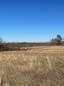 190-Acre Paradise: Build Your Dream Home In Southside Va - image 12