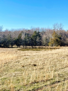 190-Acre Paradise: Build Your Dream Home In Southside Va - image 16