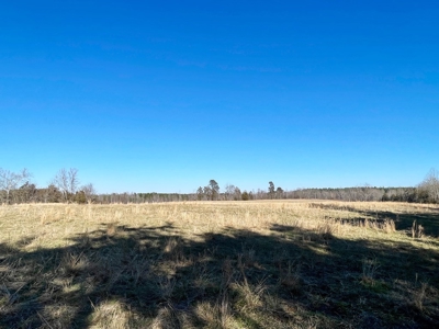 190-Acre Paradise: Build Your Dream Home In Southside Va - image 10
