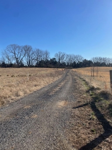 190-Acre Paradise: Build Your Dream Home In Southside Va - image 3