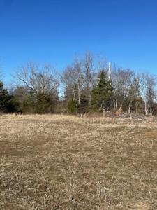 190-Acre Paradise: Build Your Dream Home In Southside Va - image 4