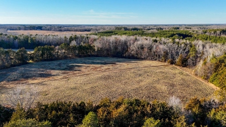 190-Acre Paradise: Build Your Dream Home In Southside Va - image 28