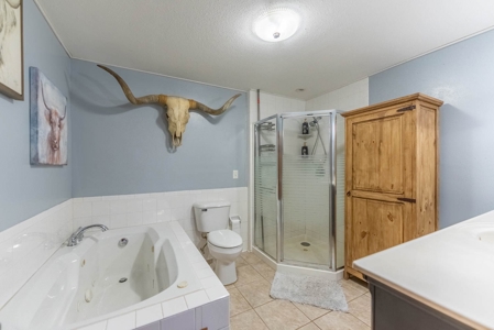 Established Horse Farm for Sale in the Howell County Ozarks - image 32