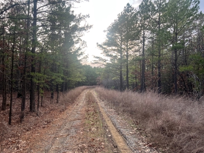 160 Acre Off-Grid Property For Sale - image 3