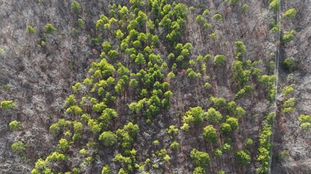 160 Acre Off-Grid Property For Sale - image 8