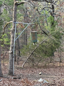 160 Acre Off-Grid Property For Sale - image 19