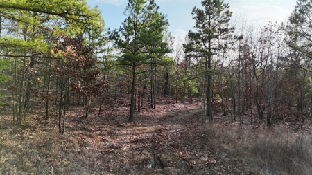 160 Acre Off-Grid Property For Sale - image 18