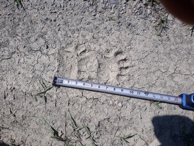 160 Acre Off-Grid Property For Sale - image 27