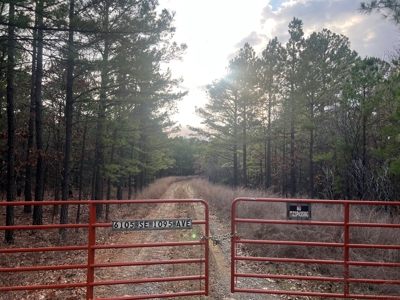 160 Acre Off-Grid Property For Sale - image 2