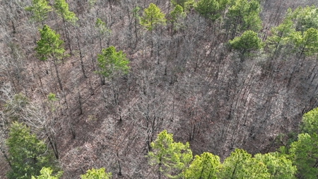 160 Acre Off-Grid Property For Sale - image 15