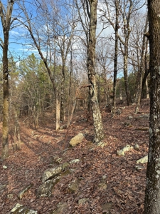 160 Acre Off-Grid Property For Sale - image 20