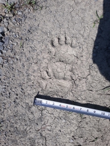 160 Acre Off-Grid Property For Sale - image 25