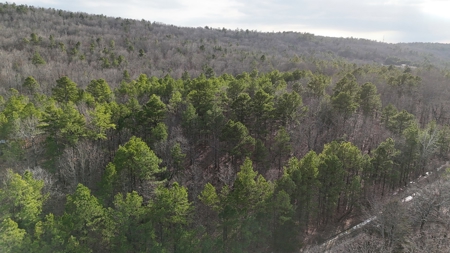 160 Acre Off-Grid Property For Sale - image 10