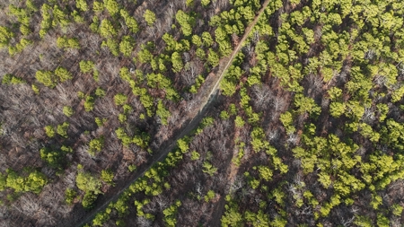 160 Acre Off-Grid Property For Sale - image 9