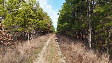 160 Acre Off-Grid Property For Sale - image 17