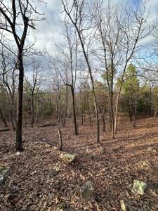 160 Acre Off-Grid Property For Sale - image 21