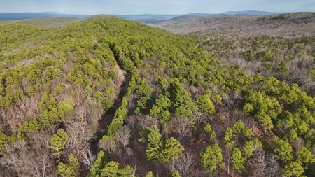 160 Acre Off-Grid Property For Sale - image 7