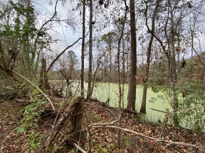 Multi-Family Compound For Sale Monticello Fl - image 10
