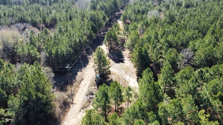 East TX Timber & Hunting Land for Sale Overton Rusk County - image 10