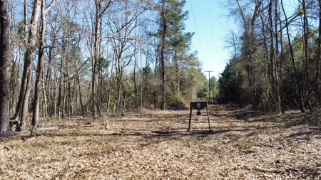 East TX Timber & Hunting Land for Sale Overton Rusk County - image 20