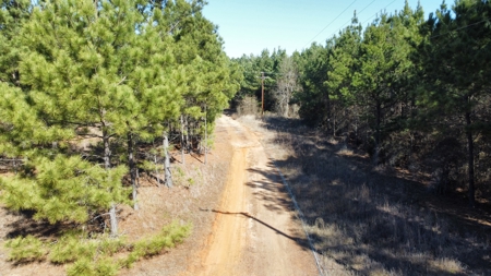 East TX Timber & Hunting Land for Sale Overton Rusk County - image 12