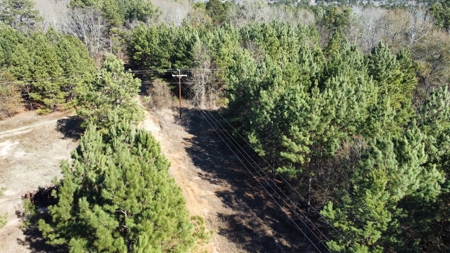 East TX Timber & Hunting Land for Sale Overton Rusk County - image 11