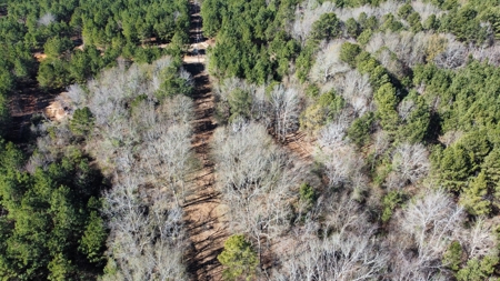 East TX Timber & Hunting Land for Sale Overton Rusk County - image 6