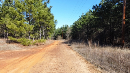 East TX Timber & Hunting Land for Sale Overton Rusk County - image 13